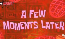 新闻九点半爆料热线,揭秘爆料热线背后的故事